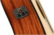 画像6: Fender　CD-60SCE Dreadnought 12-String (6)