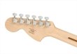 画像6: Squier by Fender　Affinity Series Stratocaster Black (6)