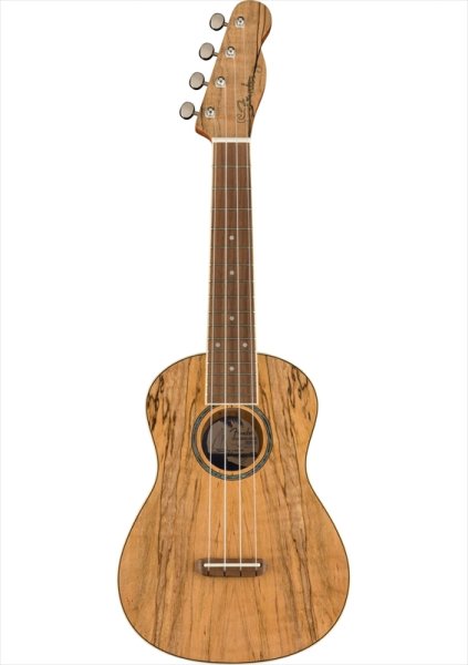 画像2: Fender Zuma Exotic Concert Ukulele Natural Spalted Maple (2)