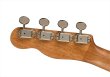 画像6: Fender　Zuma Exotic Concert Ukulele Natural Spalted Maple (6)