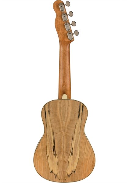 画像3: Fender Zuma Exotic Concert Ukulele Natural Spalted Maple (3)