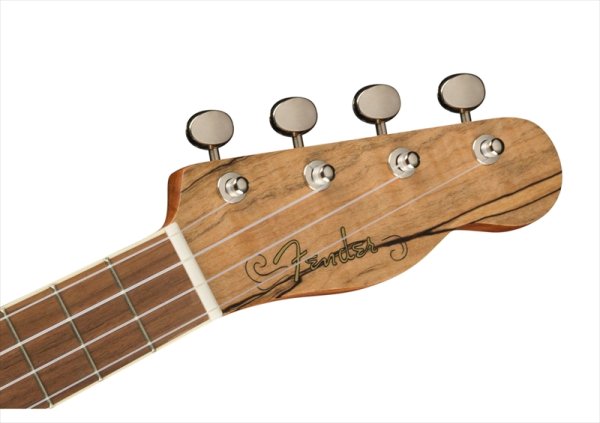 画像5: Fender Zuma Exotic Concert Ukulele Natural Spalted Maple (5)