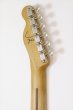 画像7: Fender　J Mascis Telecaster Bottle Rocket Blue Flake (7)