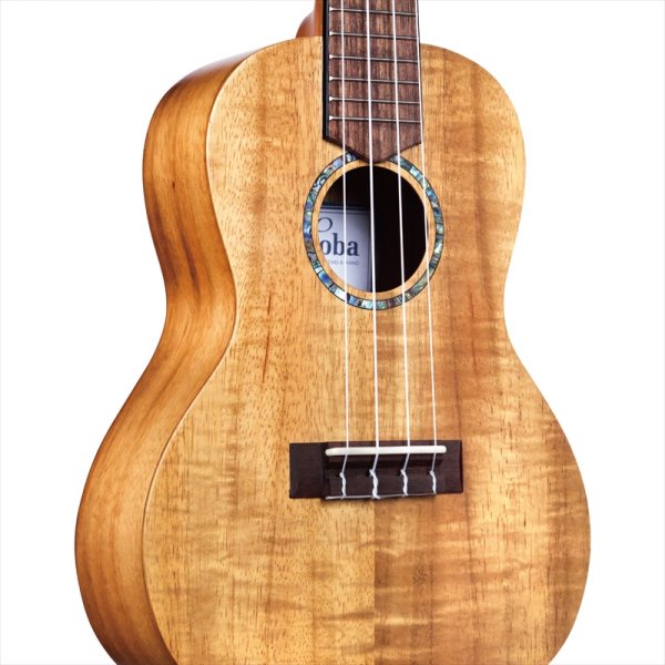 画像6: Cordoba コンサートウクレレ 28C (6)