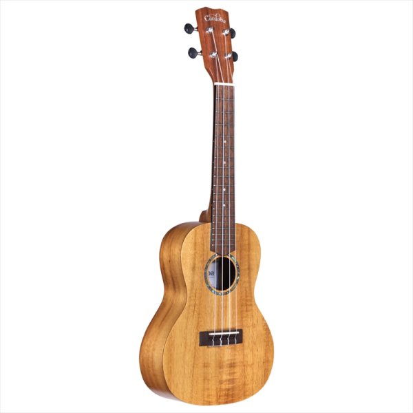 画像3: Cordoba コンサートウクレレ 28C (3)