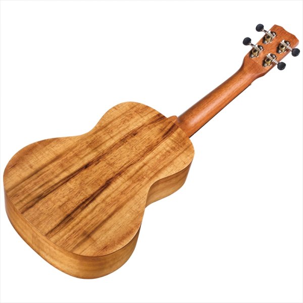 画像5: Cordoba コンサートウクレレ 28C (5)