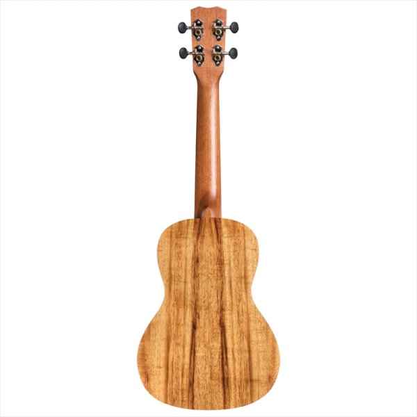 画像2: Cordoba コンサートウクレレ 28C (2)