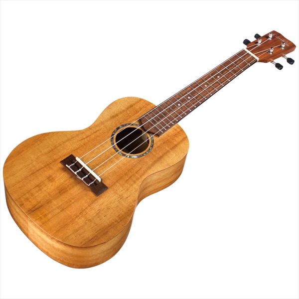 画像4: Cordoba コンサートウクレレ 28C (4)