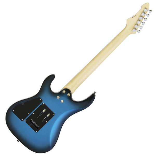 画像2: Aria Pro II　アンプ付き入門セット MAC-STD MBS (2)