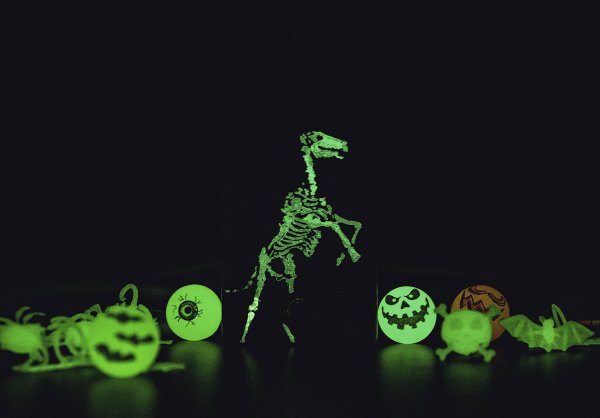 画像4: WALRUS AUDIO Iron Horse LM308 Distortion Halloween 2022 (4)