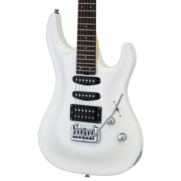 画像3: Aria Pro II アンプ付き入門セット MAC-STD PWH (3)