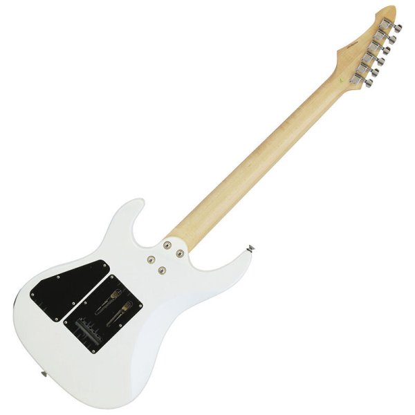 画像2: Aria Pro II アンプ付き入門セット MAC-STD PWH (2)