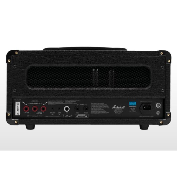 画像2: Marshall DSL Series DSL20H (2)