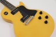 画像8: Edwards　E-LS-LTD TV Yellow (8)