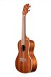 画像4: KALA　SATIN MAHOGANY CONCERT KA-C (KAC-WBAG20 06) (4)