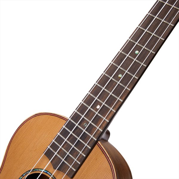 画像6: MAHALO MASTER SERIES MM2(コンサート) (6)