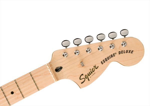 画像5: Squier by Fender Paranormal Esquire Deluxe Metallic Black (5)