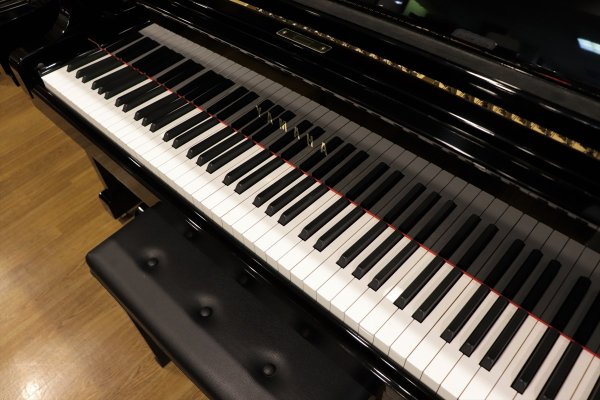 画像2: 【送料別・代引不可】YAMAHA G1B(中古) (2)