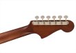 画像6: Fender　Newporter Player Left-Handed Natural (6)
