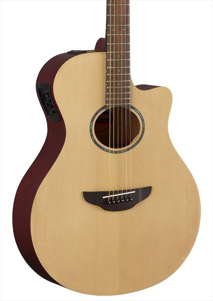 画像3: YAMAHA APX600M NS (3)