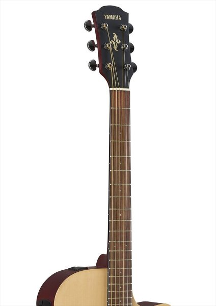 画像4: YAMAHA APX600M NS (4)