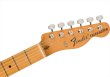 画像5: Fender　Vintera II '60s Telecaster Thinline 3-Color Sunburst (5)