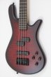 画像3: Spector　NS Pulse 4 II Black Cherry Matte (3)