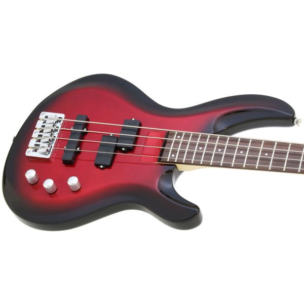 画像3: Aria Pro II アンプ付き入門セット IGB-STD MRS (3)