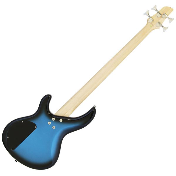 画像2: Aria Pro II アンプ付き入門セット IGB-STD MBS (2)