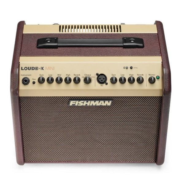 画像3: FISHMAN Loudbox Mini Bluetooth エレアコアンプ (3)
