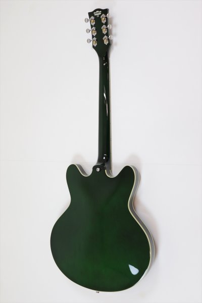 画像2: VOX BOBCAT S66 Italian Green (2)