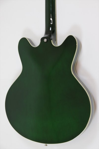 画像4: VOX BOBCAT S66 Italian Green (4)