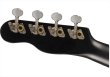 画像6: Fender　Venice Soprano Ukulele Black (6)