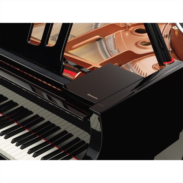 画像4: 【送料別・代引不可】YAMAHA C3X espressivo (4)