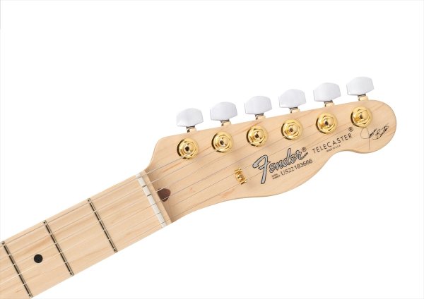 画像5: Fender James Burton Telecaster Red Paisley Flames (5)