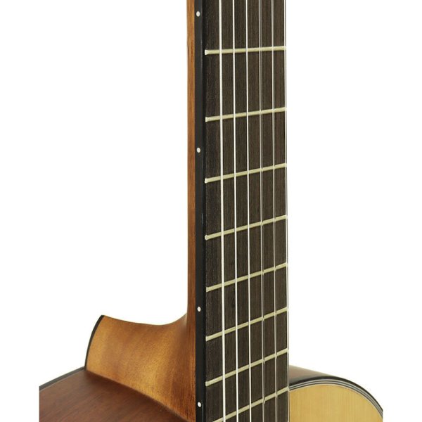 画像4: Aria クラシックギター入門セット A-10 (4)