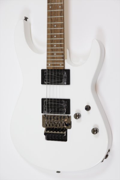画像3: FERNANDES FR X EXPORT Snow White【新品:メーカー保証なし】 (3)