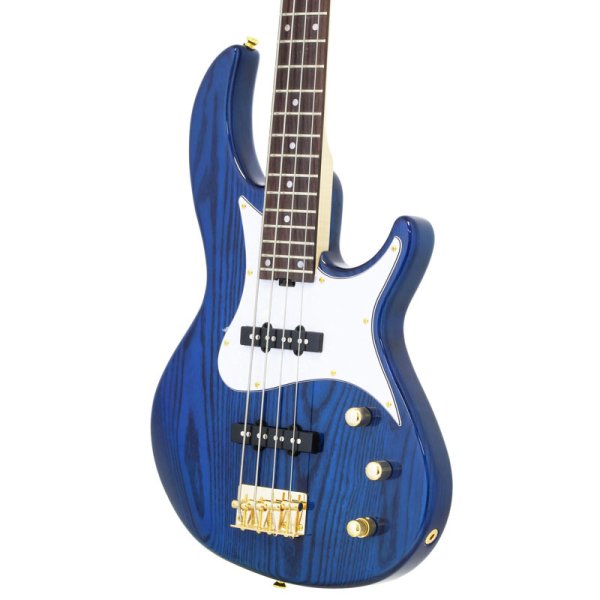 画像3: Aria Pro II アンプ付き入門セット RSB-42AR SBL (3)