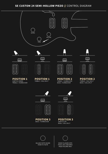画像9: PRS (Paul Reed Smith) SE Custom 24 Semi-Hollow Piezo Vintage Sunburst 【2024年製】 (9)