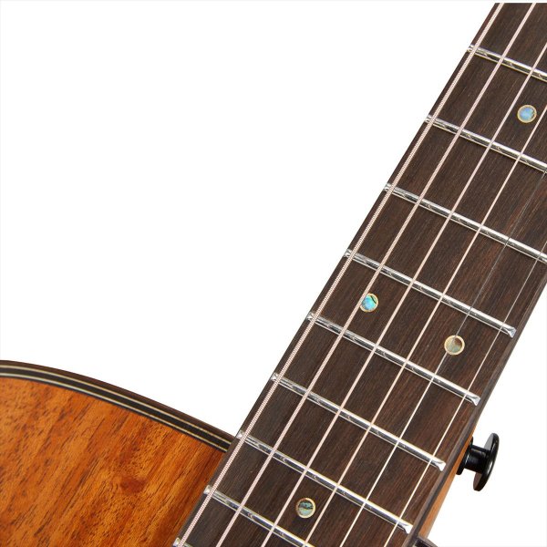 画像7: Bromo Guitars TAHOMA SERIES BAT2M (7)