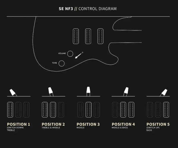 画像9: PRS (Paul Reed Smith) SE NF3 Maple Gun Metal Gray 【2024年製】 (9)