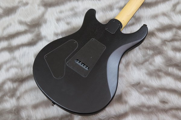 画像6: PRS (Paul Reed Smith) SE Swamp Ash CE 24 "Sandblasted" LTD / Sandblasted Blue 【2024年製】 (6)