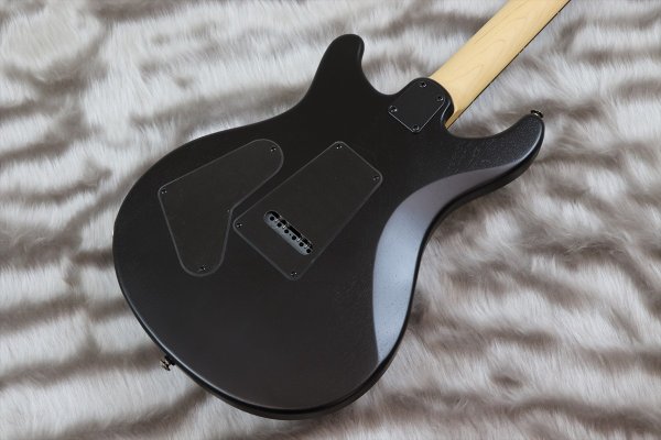 画像6: PRS (Paul Reed Smith) SE Swamp Ash CE 24 "Sandblasted" LTD / Sandblasted Purple 【2024年製】 (6)