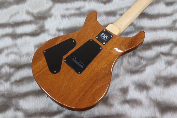 画像6: PRS (Paul Reed Smith) Bolt-On - CE 24 Semi-Hollow Eriza Verde 【2021年製】 (6)