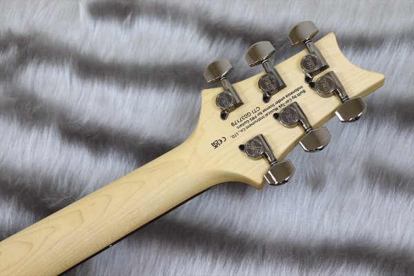 画像7: PRS (Paul Reed Smith) SE Swamp Ash CE 24 "Sandblasted" LTD / Sandblasted Red 【2024年製】 (7)