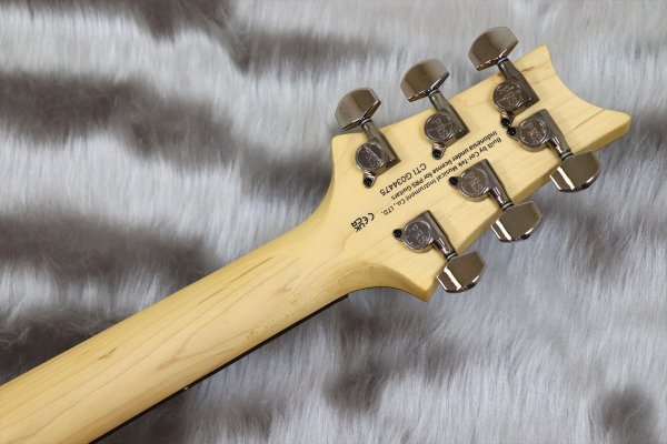 画像7: PRS (Paul Reed Smith) SE Swamp Ash CE 24 "Sandblasted" LTD / Sandblasted Blue 【2024年製】 (7)