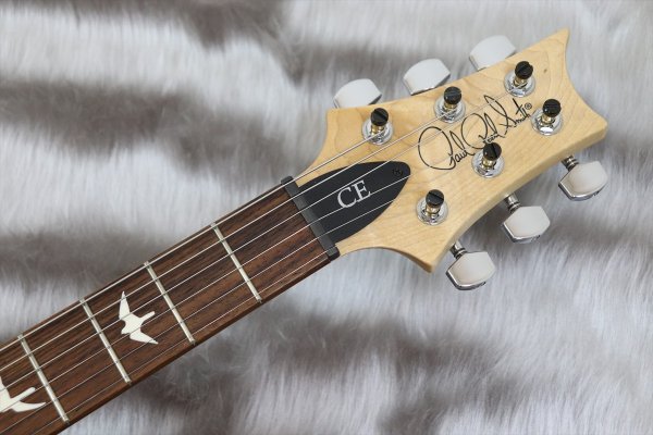 画像4: PRS (Paul Reed Smith) Bolt-On - CE 24 Semi-Hollow Eriza Verde 【2021年製】 (4)