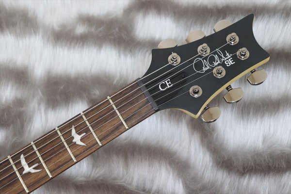 画像4: PRS (Paul Reed Smith) SE Swamp Ash CE 24 "Sandblasted" LTD / Sandblasted Purple 【2024年製】 (4)