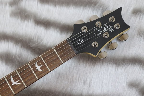 画像4: PRS (Paul Reed Smith) SE Swamp Ash CE 24 "Sandblasted" LTD / Sandblasted Green 【2024年製】 (4)