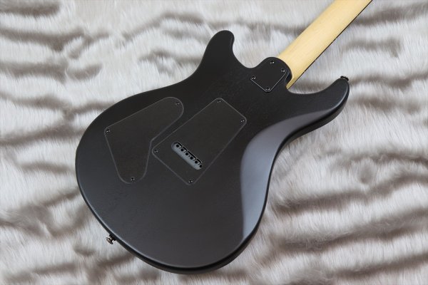 画像6: PRS (Paul Reed Smith) SE Swamp Ash CE 24 "Sandblasted" LTD / Sandblasted Red 【2024年製】 (6)